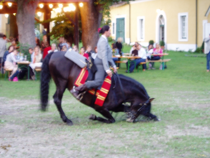 Lilienhof 270805 154